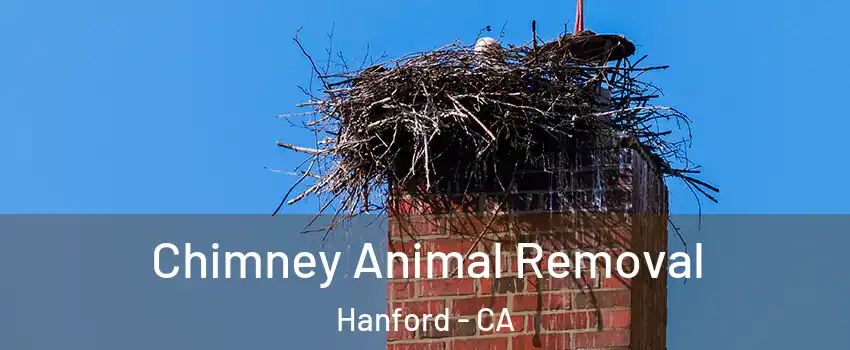 Chimney Animal Removal Hanford - CA