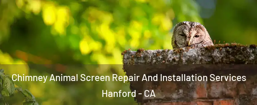  Chimney Animal Screen Repair And Installation Services Hanford - CA