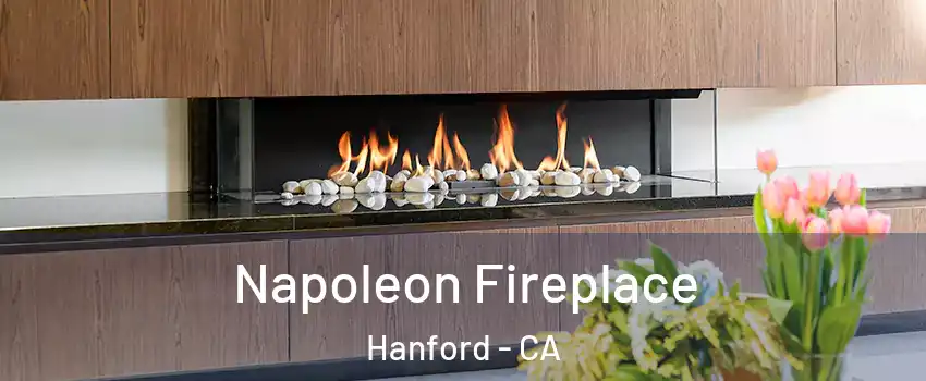  Napoleon Fireplace Hanford - CA